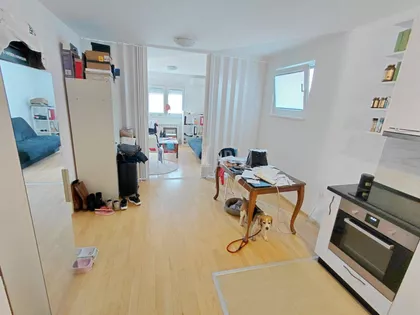 Cara Dušana | 4zida.rs