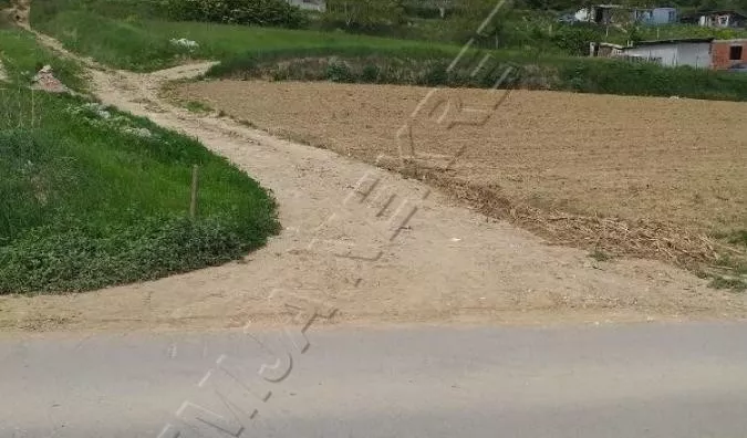 Plac | 4zida