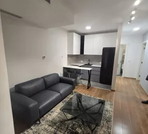 Novi Sad - Centar, Stari Grad, Gradske lokacije, Novi Sad, 1.5 stan | 4zida.rs