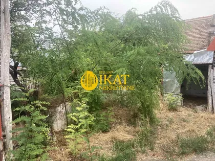 Arsenija Čarnojevića | 4zida.rs