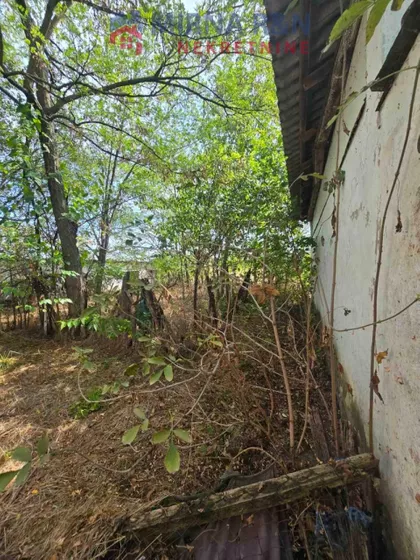 Čonoplja | 4zida.rs