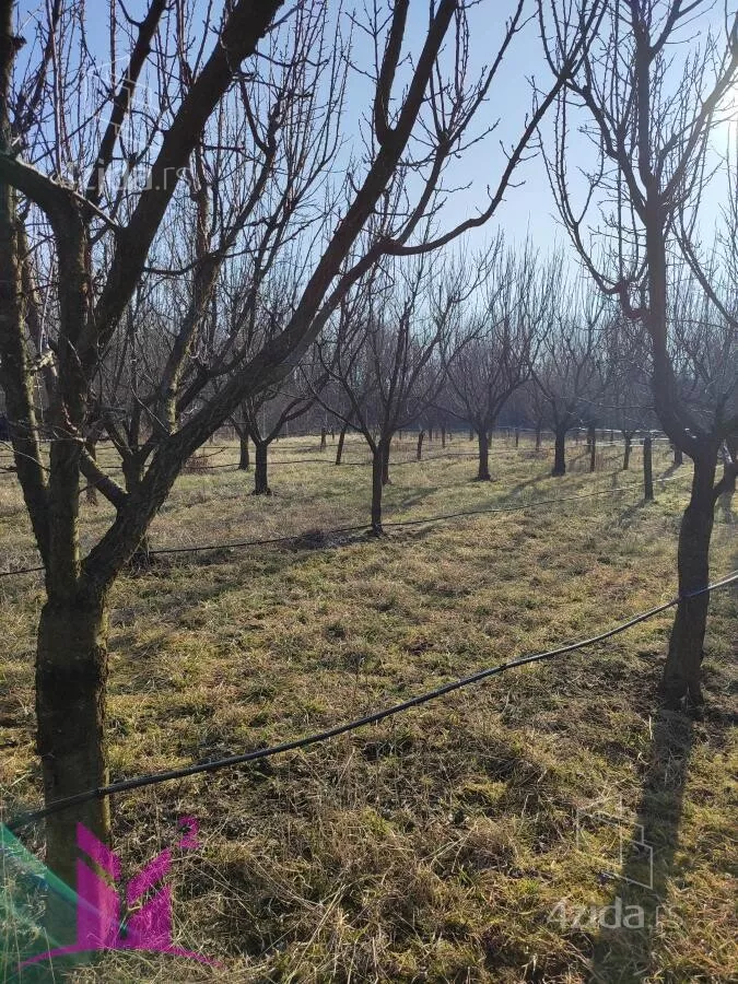 Poljoprivredno zemljište | 4zida