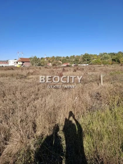 Ane Bedlic | 4zida.rs