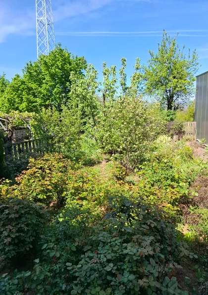 Ledena Stena | 4zida.rs