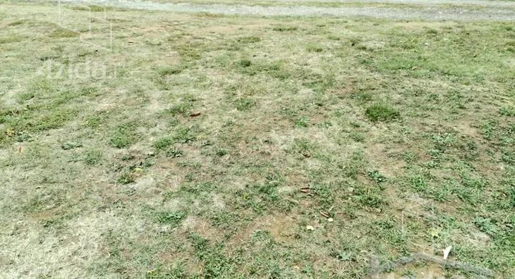 Plac | 4zida