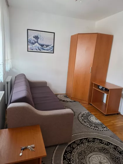Vase Pelagića | 4zida.rs