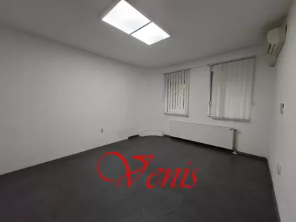 Petra Drapšina | 4zida.rs