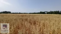 Poljoprivredno zemljište | 4zida