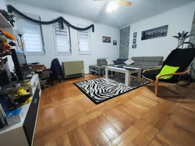 Srnetička