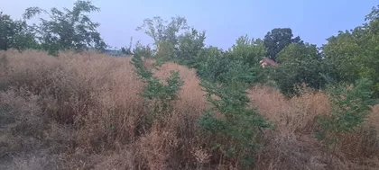 Tankosićevo | 4zida.rs