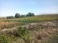 Sirig, Okolne lokacije, Temerin | 4zida.rs | 4zida.rs