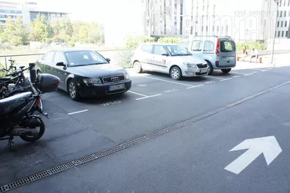 TREŠNJINOG CVETA | 4zida.rs