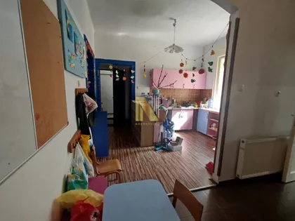 Salajka | 4zida.rs