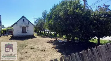 Skela