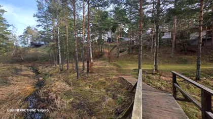 Boke Lome | 4zida.rs