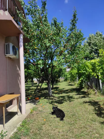 Ključ | 4zida.rs