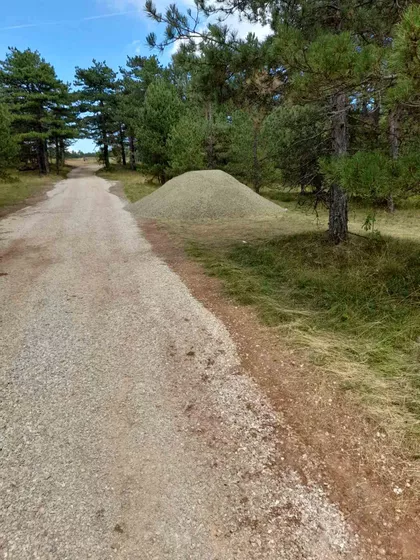 Belog Narcisa 80 | 4zida.rs