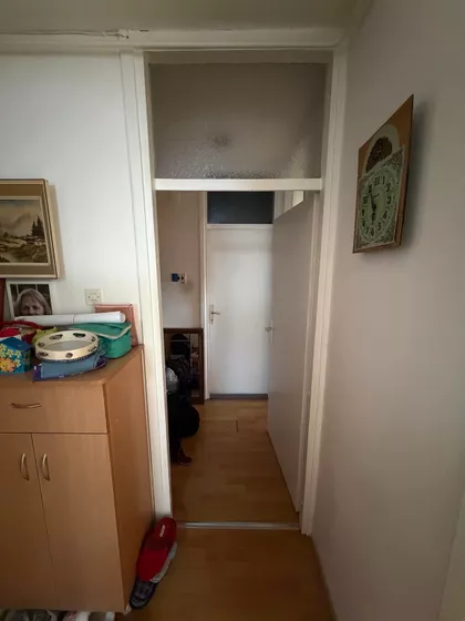 Ruža Šulman | 4zida.rs