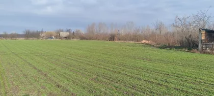 Zorka | 4zida.rs