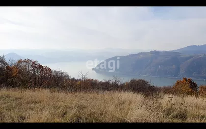 Donji Milanovac | 4zida.rs