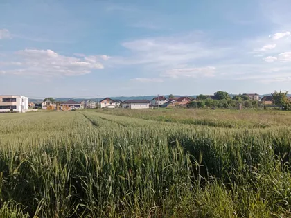 Đure Jakšića | 4zida.rs