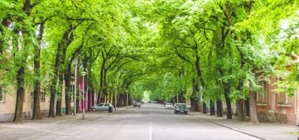 Generala Drapšina | 4zida.rs