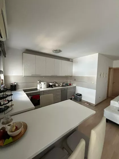 Nikodima Milaša | 4zida.rs