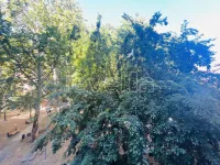 Novo Naselje, Gradske lokacije, Novi Sad | 4zida.rs