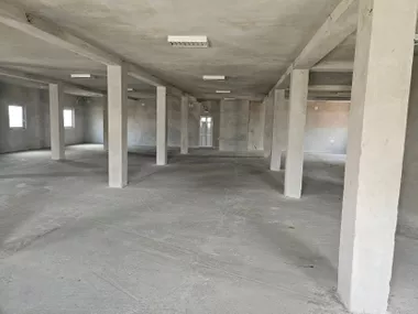 Bežanijska kosa 1
