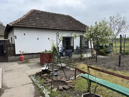 Bački Vinogradi | 4zida.rs