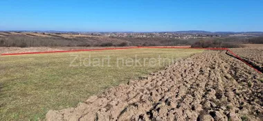 Manić