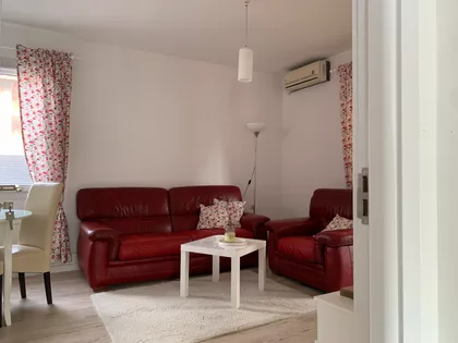 Zemun Polje | 4zida.rs