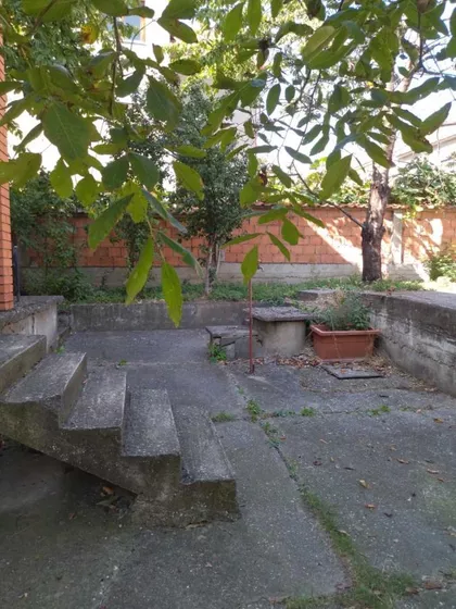 Nemanjina | 4zida.rs