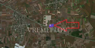 Šimanovci