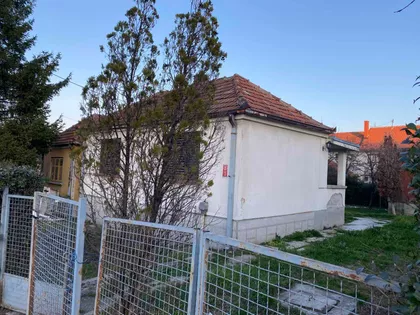 Ivana Cankara | 4zida.rs