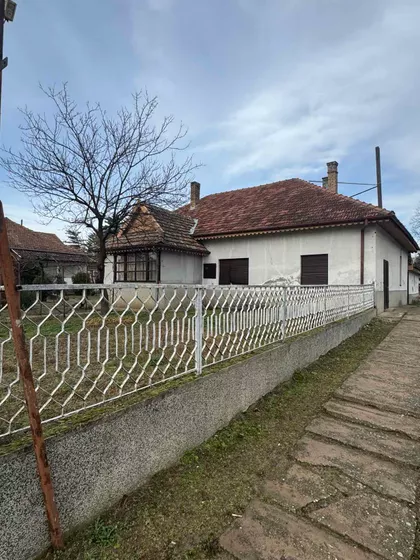 Dubrovačka 21 | 4zida.rs