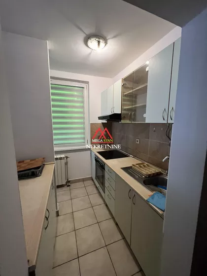 Petra Drapšina | 4zida.rs