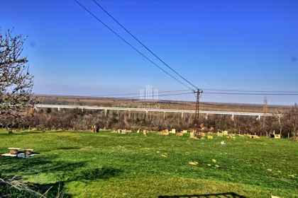 Čortanovci | 4zida.rs