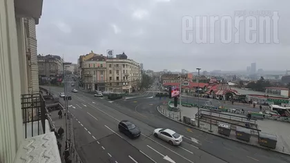 ZELENI VENAC | 4zida.rs