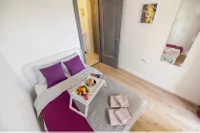 Novi Sad - Centar, Stari Grad, Gradske lokacije, Novi Sad | 4zida.rs | 4zida.rs