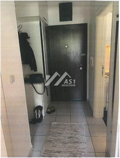 Miše Dimitrijevića | 4zida.rs