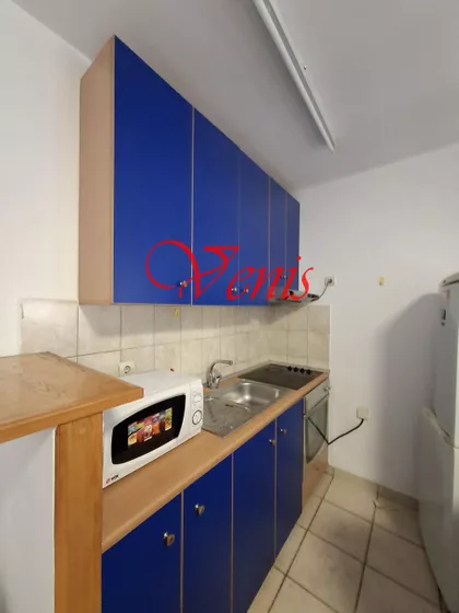 Vase Pelagića | 4zida.rs
