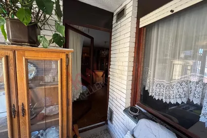 Dragoslava Srejovića | 4zida.rs