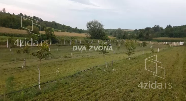 Plac | 4zida