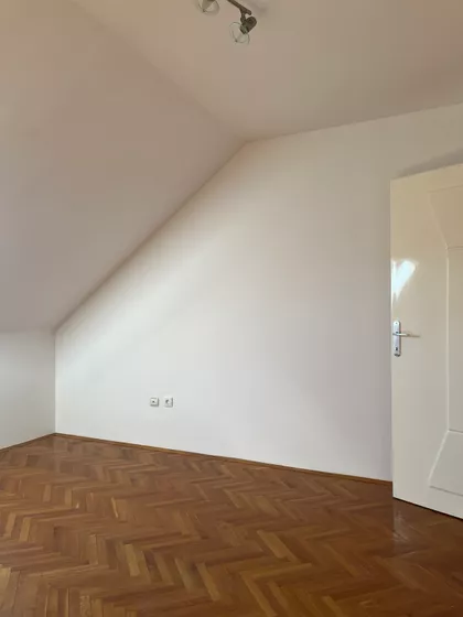 Miše Dimitrijevića | 4zida.rs
