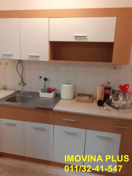 Žila Verna | 4zida.rs