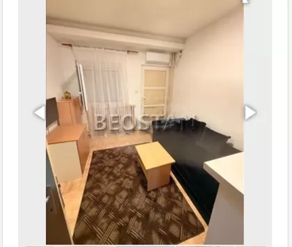 Dr Ivana Ribara | 4zida.rs