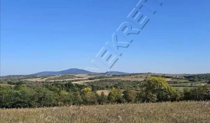 Plac | 4zida