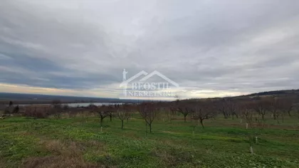 29. novembra | 4zida.rs