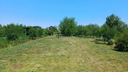 Surčin (mesto) | 4zida.rs